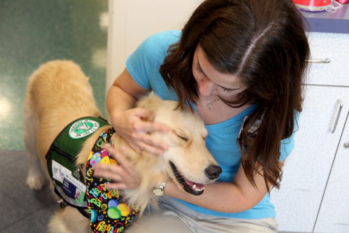 woman petting therapy dog while they smile