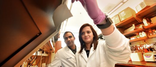 two doctors looking at lab equipment