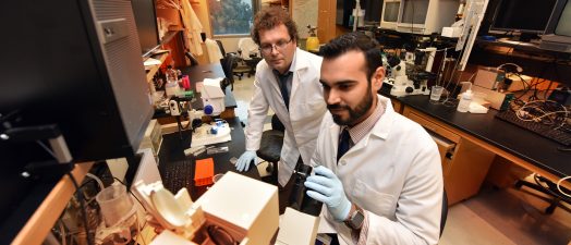 two doctors analyzing lab equipment