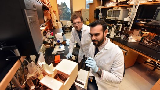 two doctors analyzing lab equipment