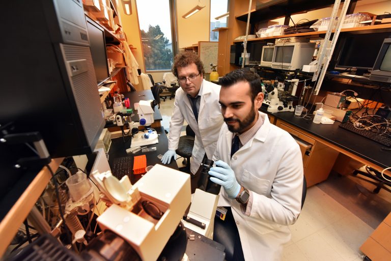 two doctors analyzing lab equipment