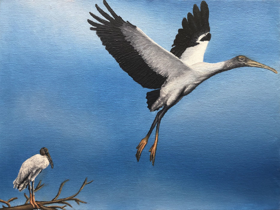 A painting of wood storks.