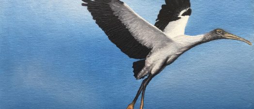 Painting of wood storks.