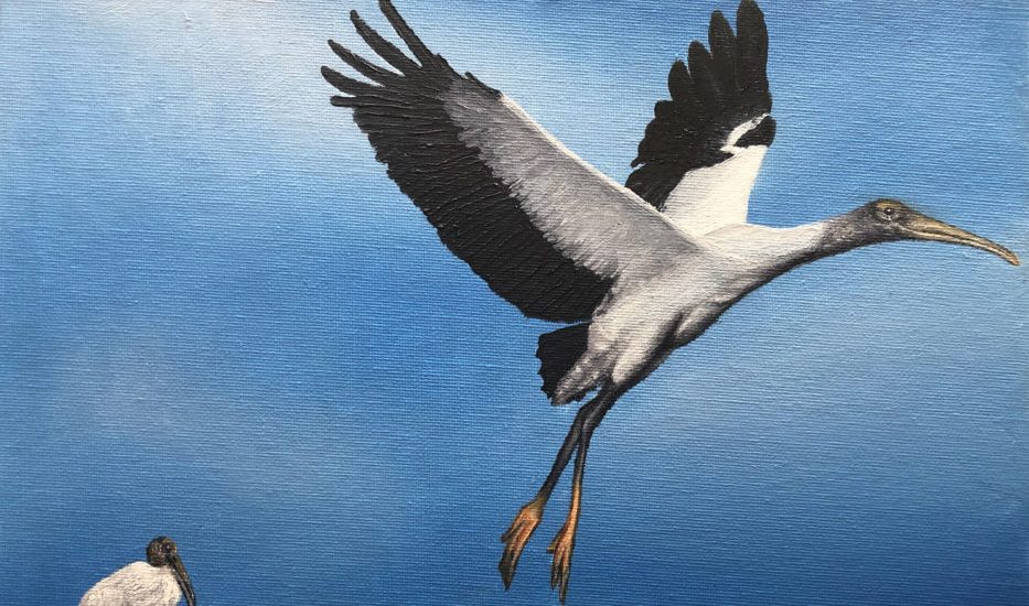 Painting of wood storks.