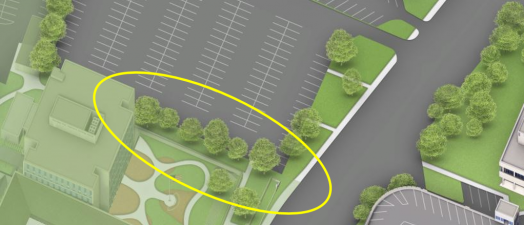 Color aerial rendering of Lot 30 with treeline circled in yellow.