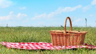 picnic basket