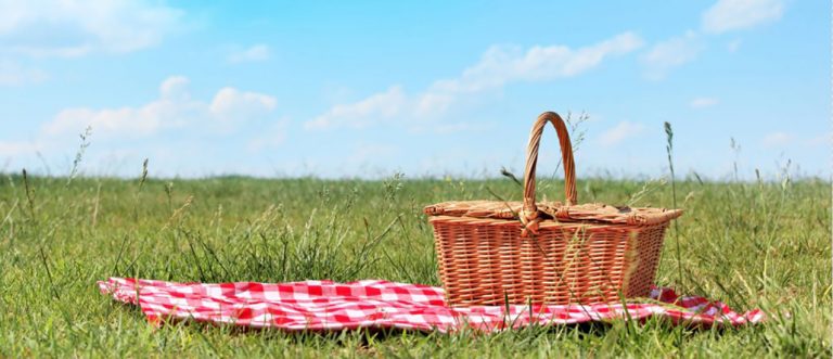 picnic basket