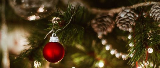 Christmas ornament on tree