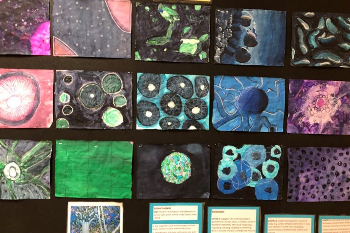 Images on a collage background of various cancer cell types
