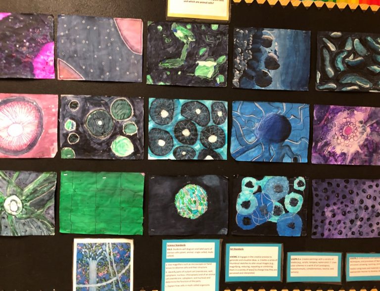 Images on a collage background of various cancer cell types