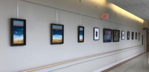 photos of paintings on a wall
