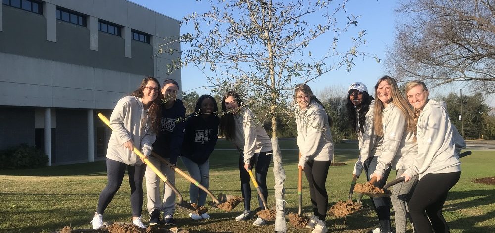 8 students with shovels of dirt planting a tree