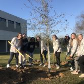 8 students with shovels of dirt planting a tree
