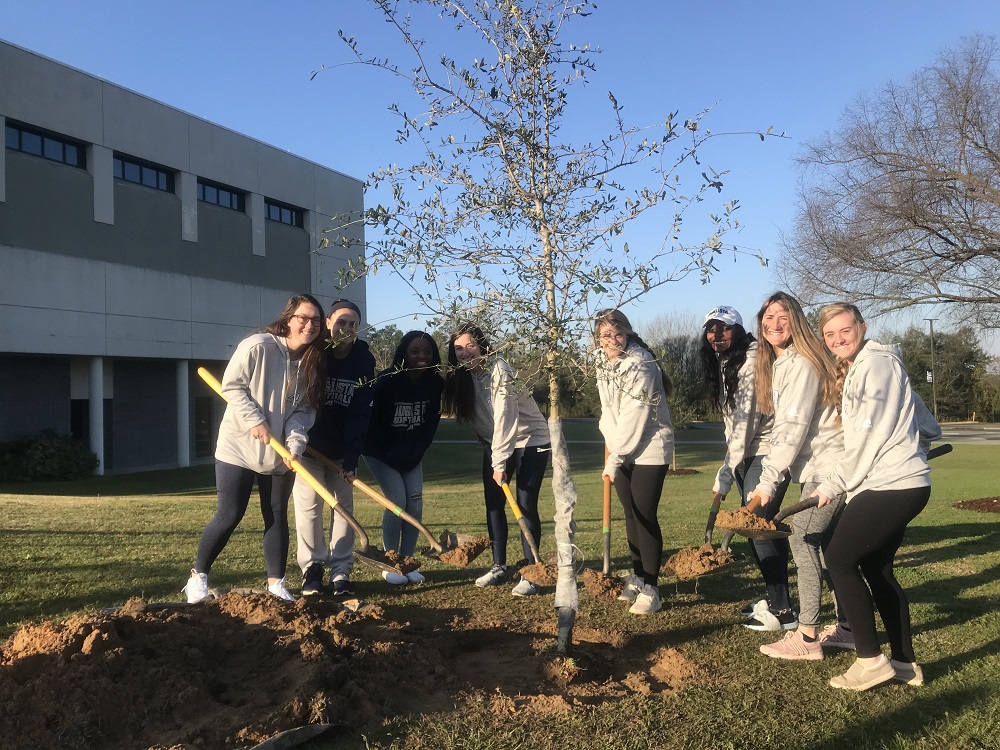 8 students with shovels of dirt planting a tree