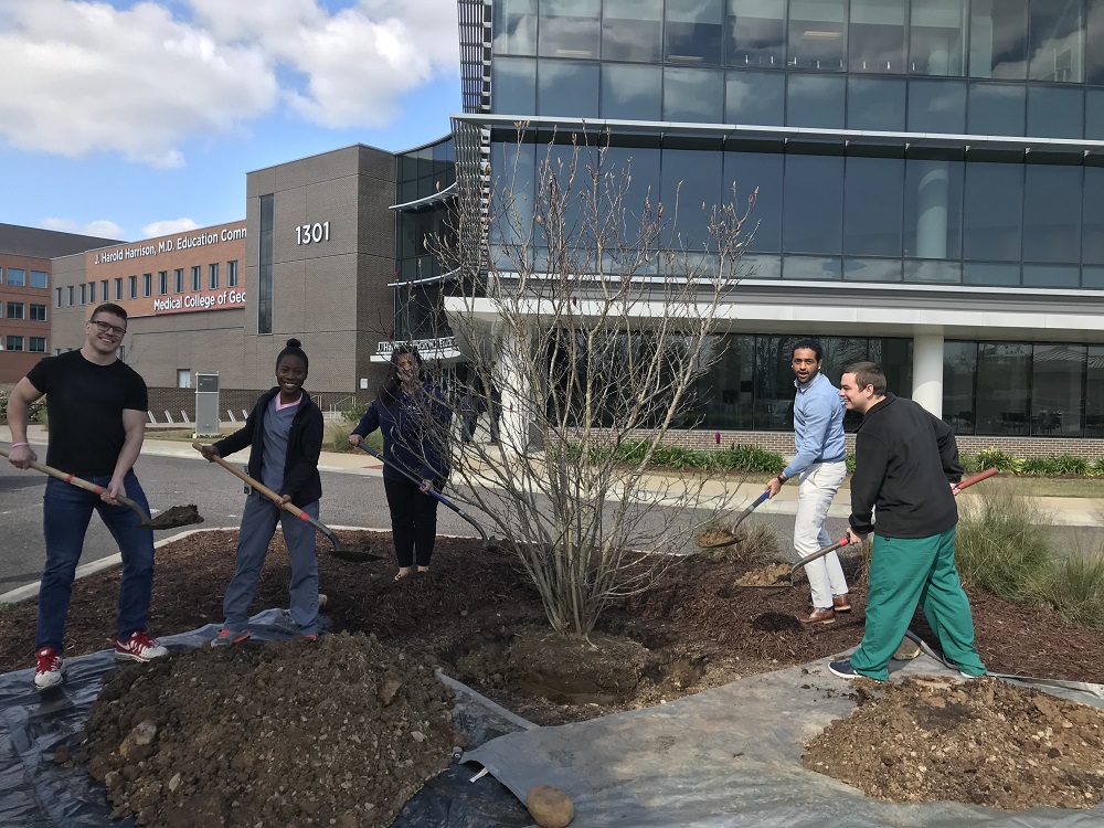 Arbor Day in Georgia is observed on the third Friday in February.