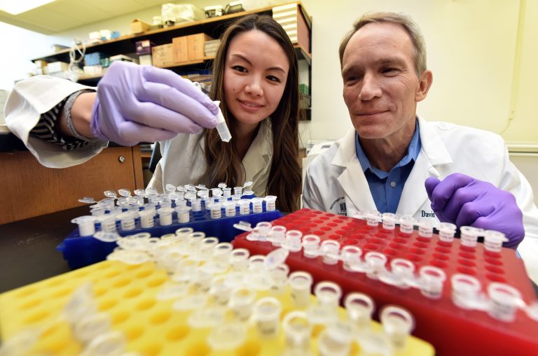 two doctors looking at lab equipment