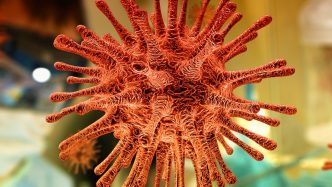 Coronavirus