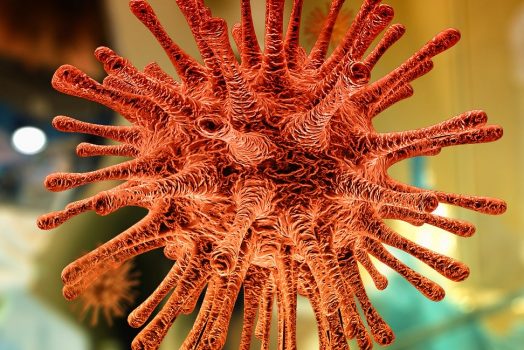Coronavirus