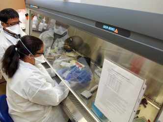 Two people working in lab