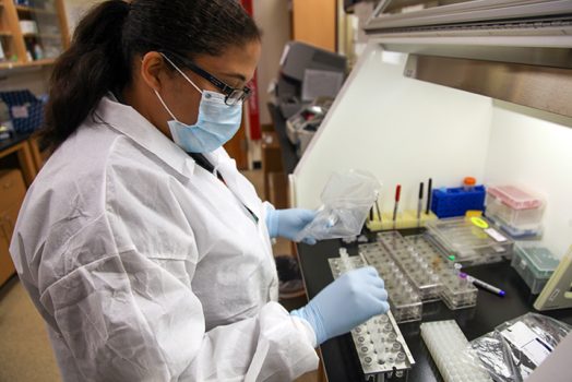 Lab worker