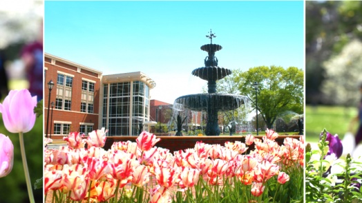 collage of spring images of the Summerville Campus: flowers, the fountain, etc.