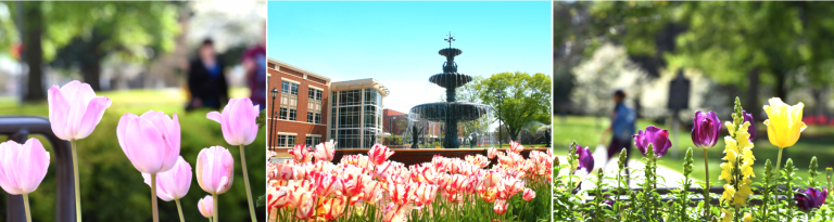 collage of spring images of the Summerville Campus: flowers, the fountain, etc.