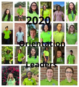 collage of all 22 orientation leaders; each is wearing a green orientation shirt