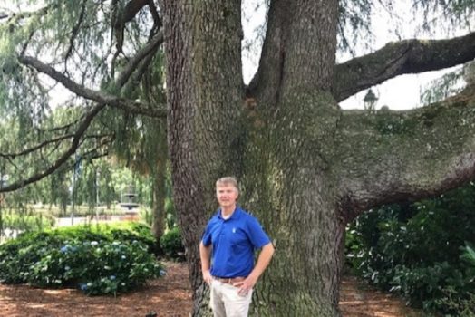 man in front of tree