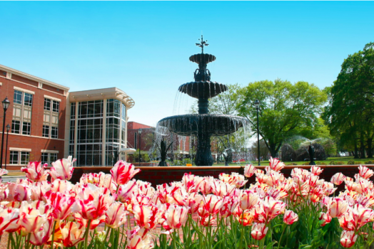 photo of fountain