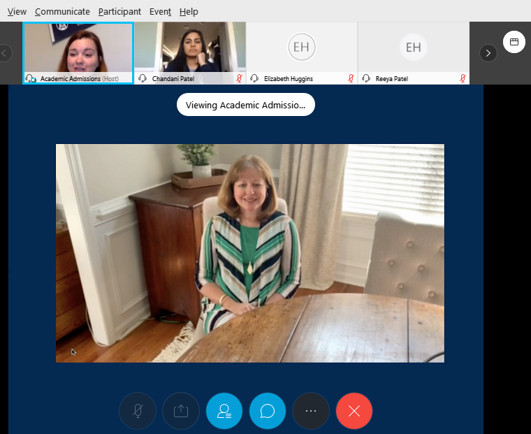 screenshot of video conference