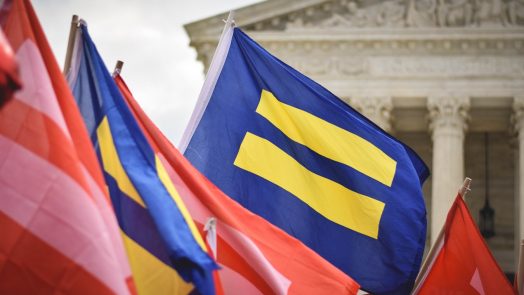 An image of flags of equality.