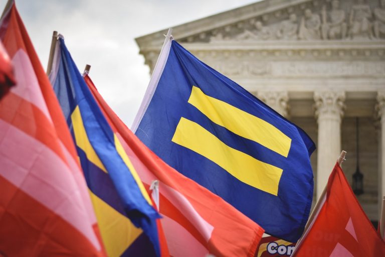An image of flags of equality.