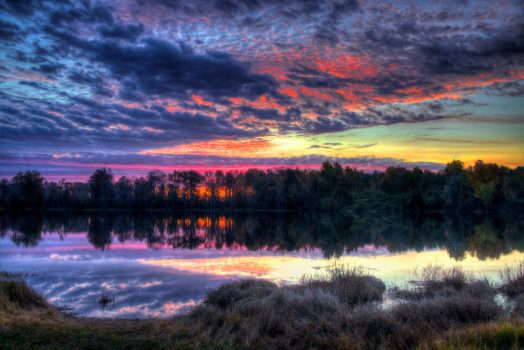 Pond at sunrise