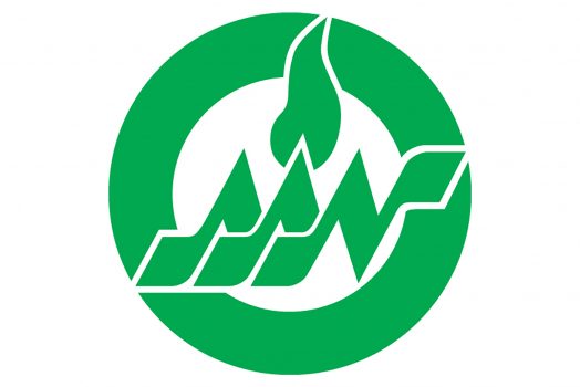American Academy of Nursing logo