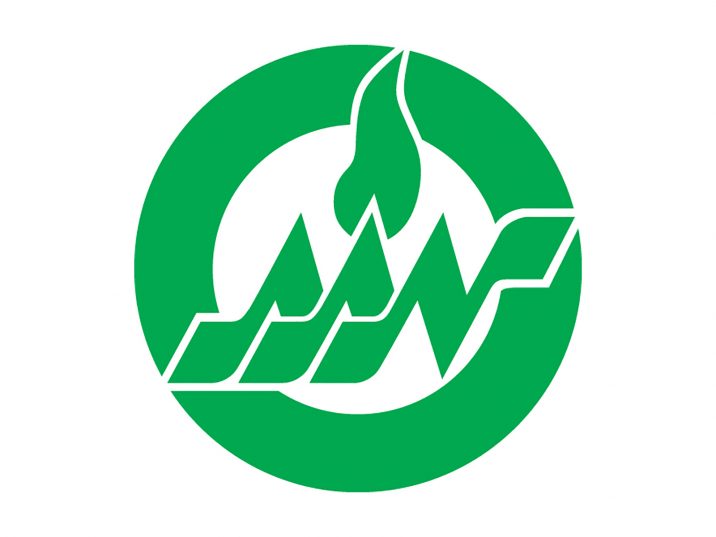 American Academy of Nursing logo