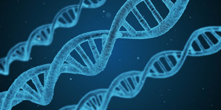 A photo of DNA