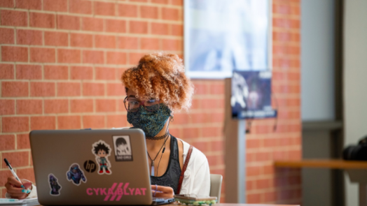 woman using computer