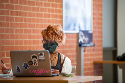 woman using computer