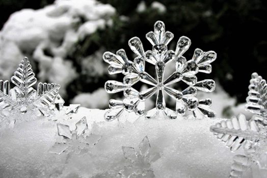 ice holiday ornaments