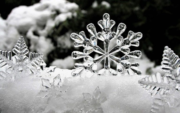ice holiday ornaments
