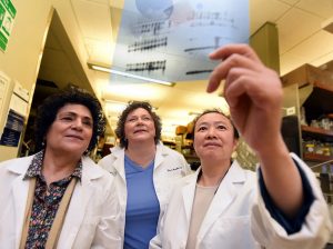 Three women looking at paper