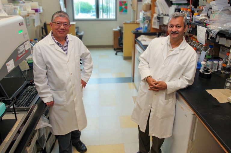 Doctors in a lab