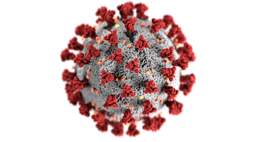 Coronavirus image produced by alumna wins international award