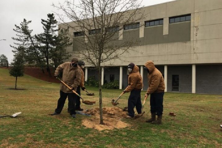 4 men with shovels scoop dirt