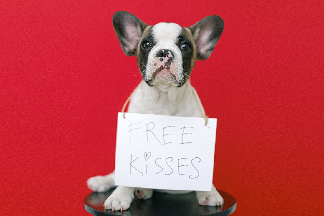 Puppy with free kisses sign