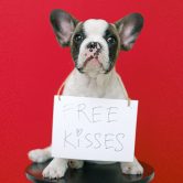 Puppy with free kisses sign