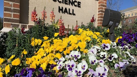 multicolored flowers and Science Hall sign