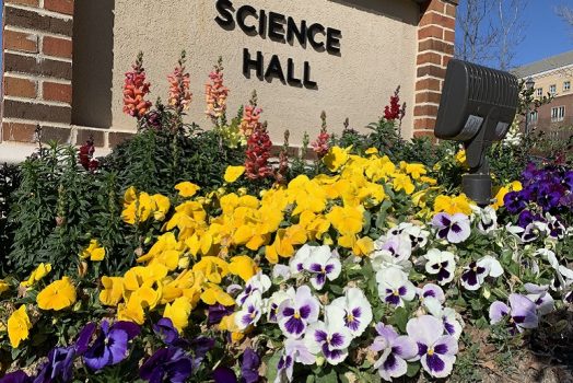 multicolored flowers and Science Hall sign