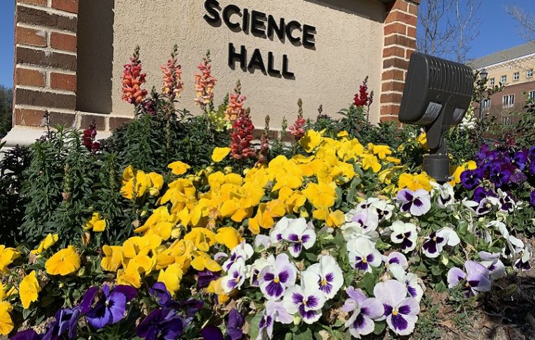 multicolored flowers and Science Hall sign