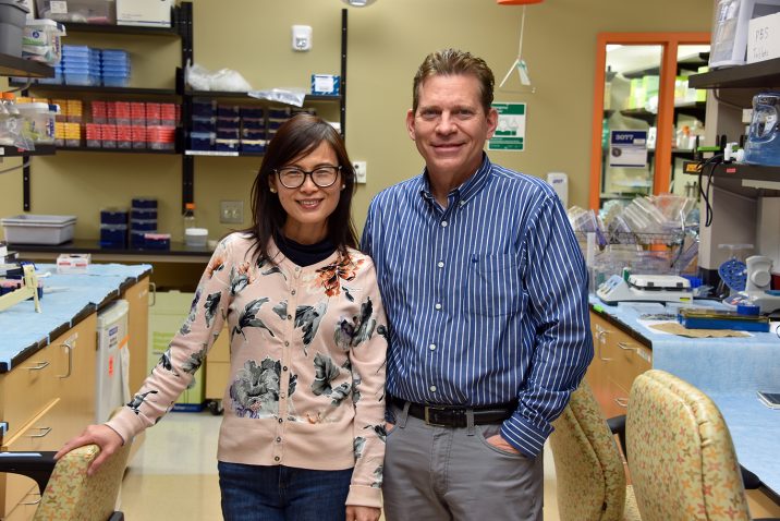 Drs. Xiaochun Long (on left) and Joseph Miano stand in their lab together